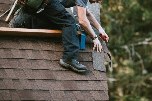 Best Roof Repair Services  in Baltic, SD